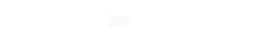 CrowdBeamer